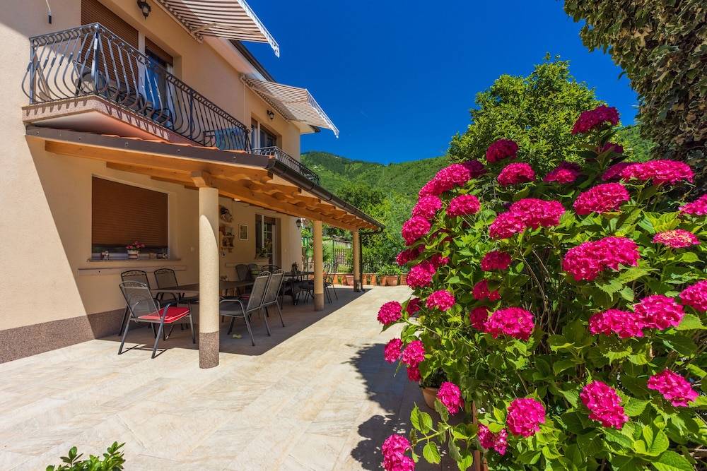 Apartments Branka 1