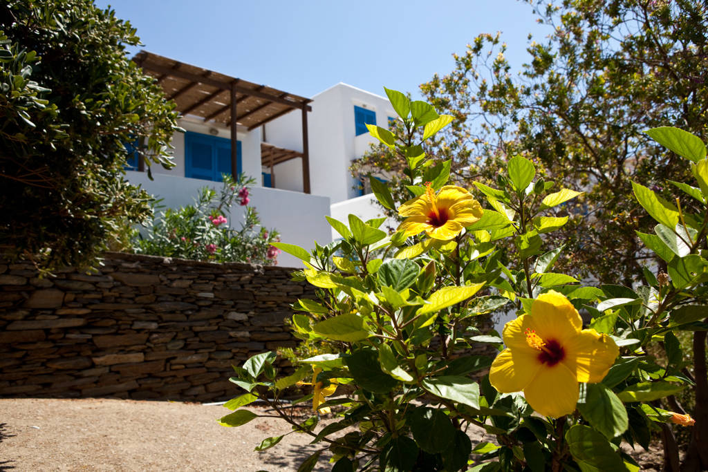 Alexandros Hotel 1