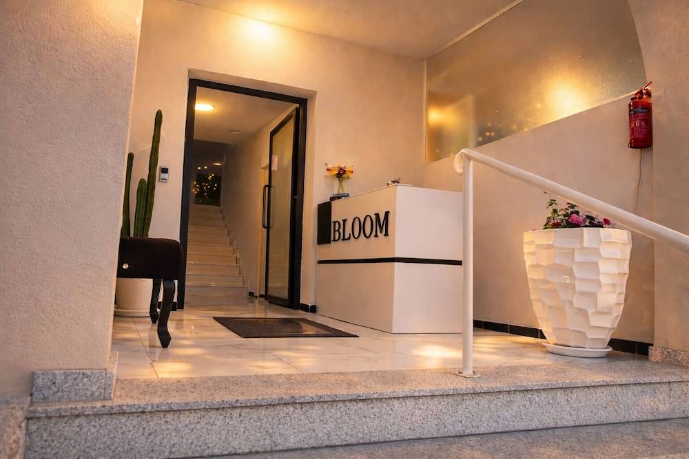 BLOOM Tropea 2