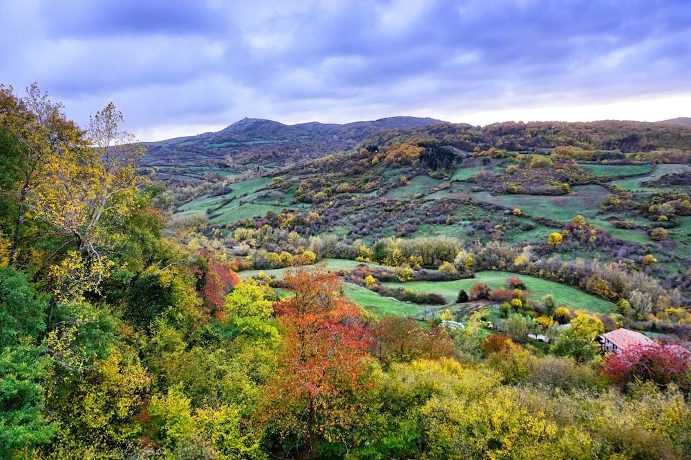Agriturismo Bio I Rondinelli 1