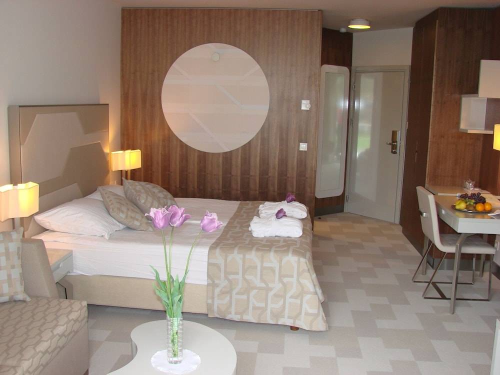 Hotel Terme - Terme Čatež 2