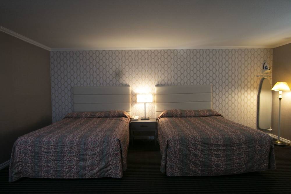 Alpha Inn & Suites 2