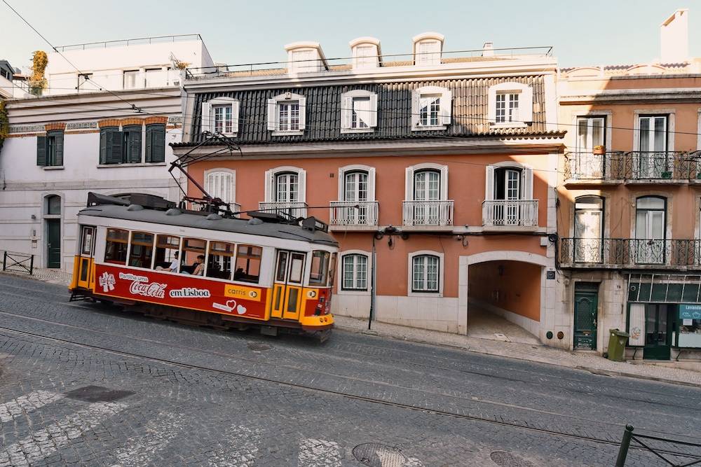 Lapa 82 1