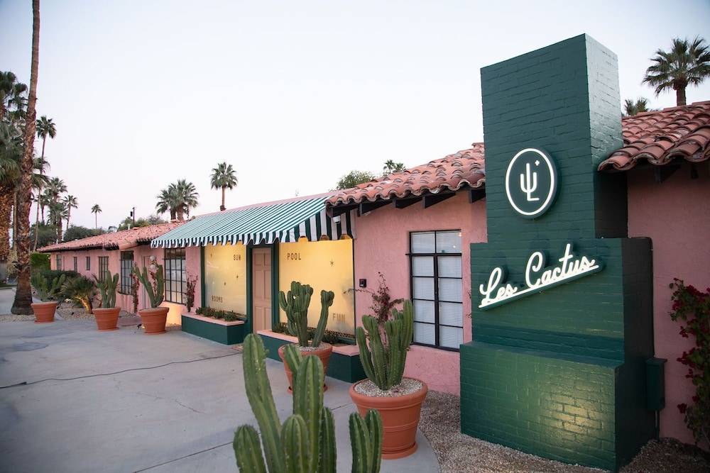 Les Cactus 1