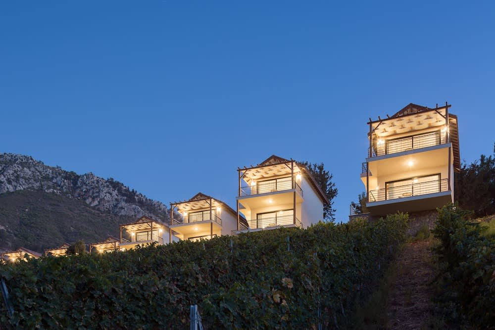 Gillham Vineyard Hotel 1