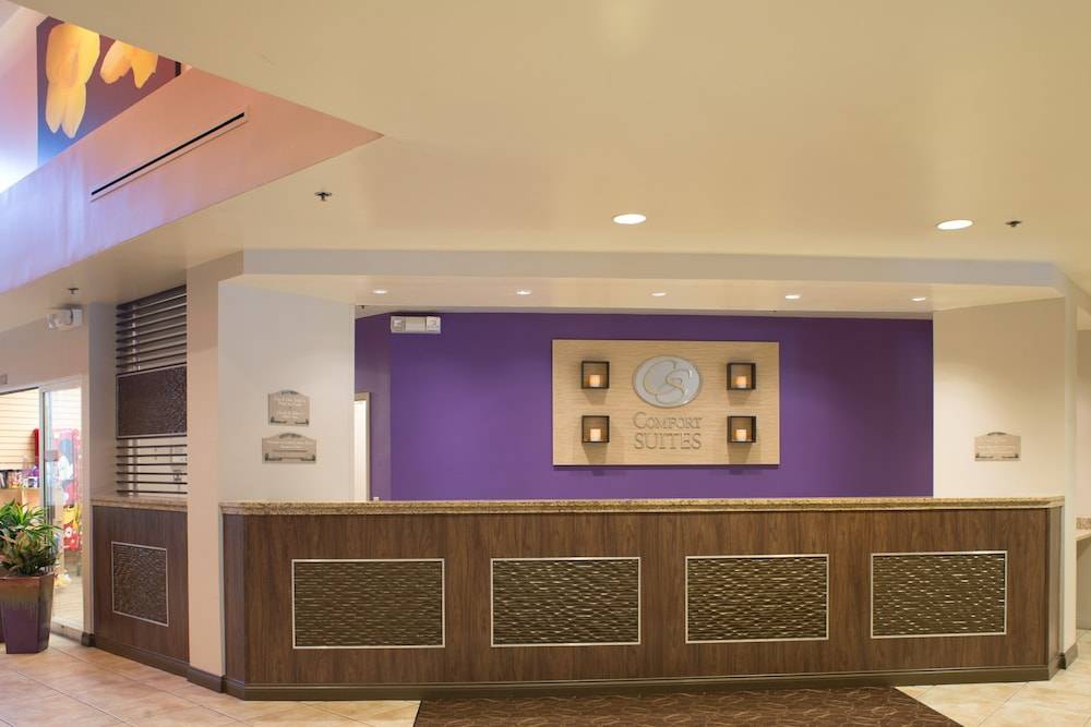 Comfort Suites Maingate East 2