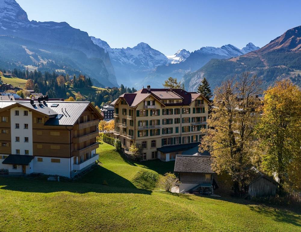 Historic Hotel Falken 1