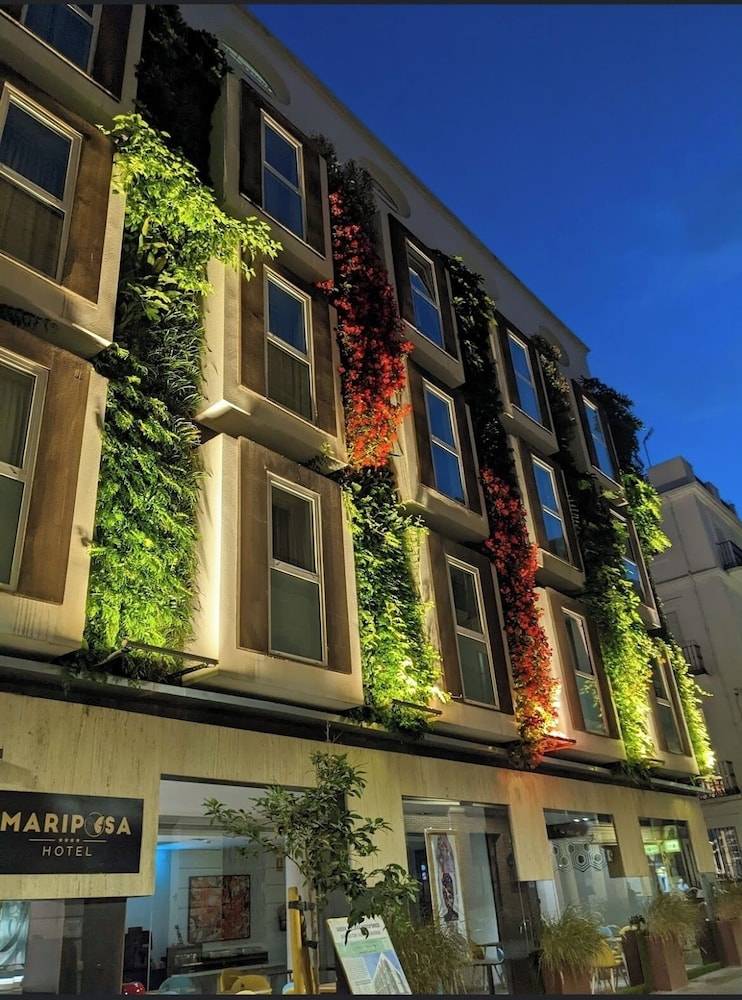 Mariposa Hotel Malaga 1