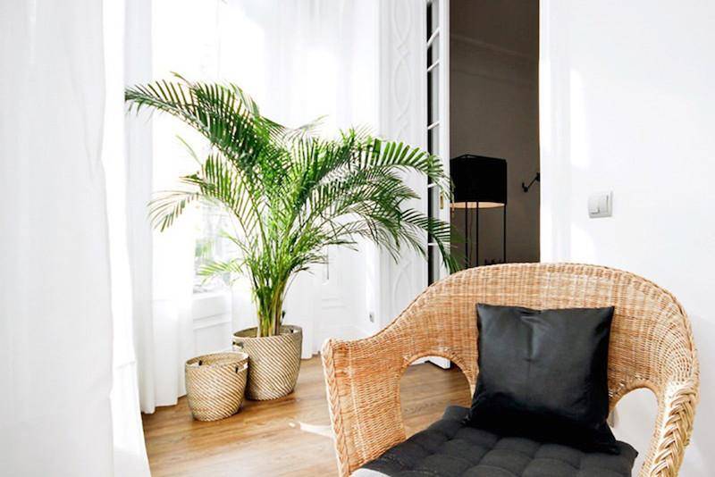Malaga Andes Suites 2