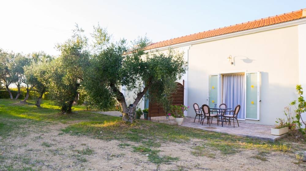 Olive Τrees Garden 1