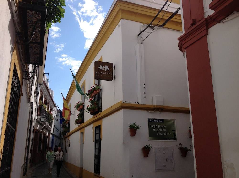HOTEL BOUTIQUE ALMA ANDALUSí 1