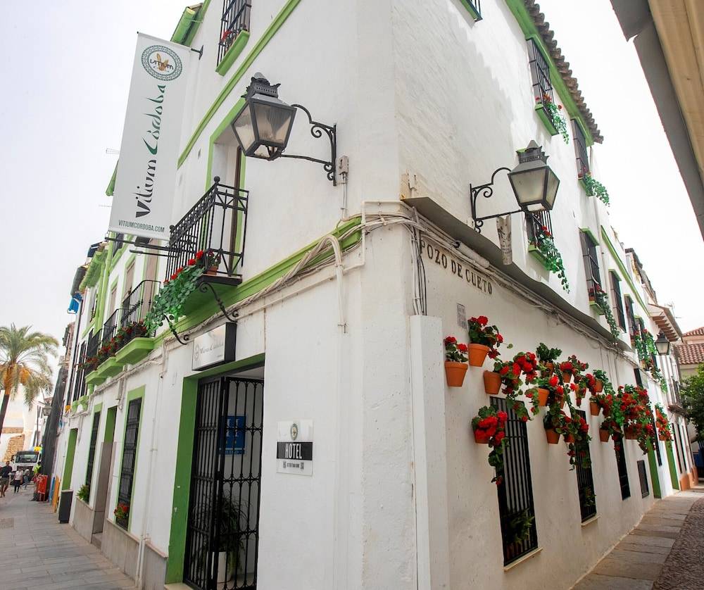 Vitium Córdoba 1
