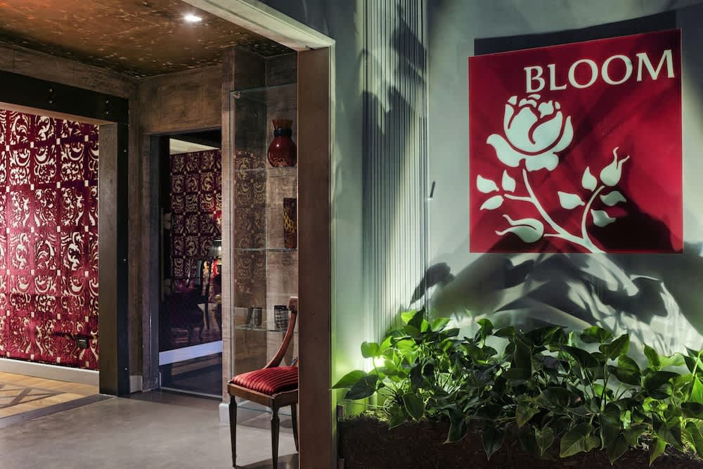 Bloom 2