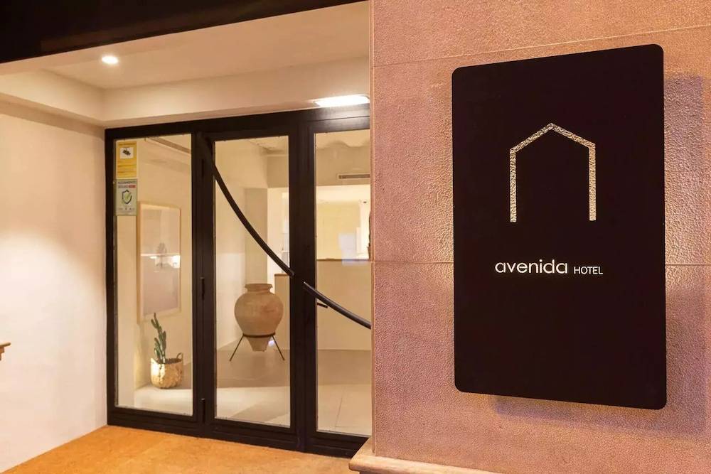 Hotel Avenida 1