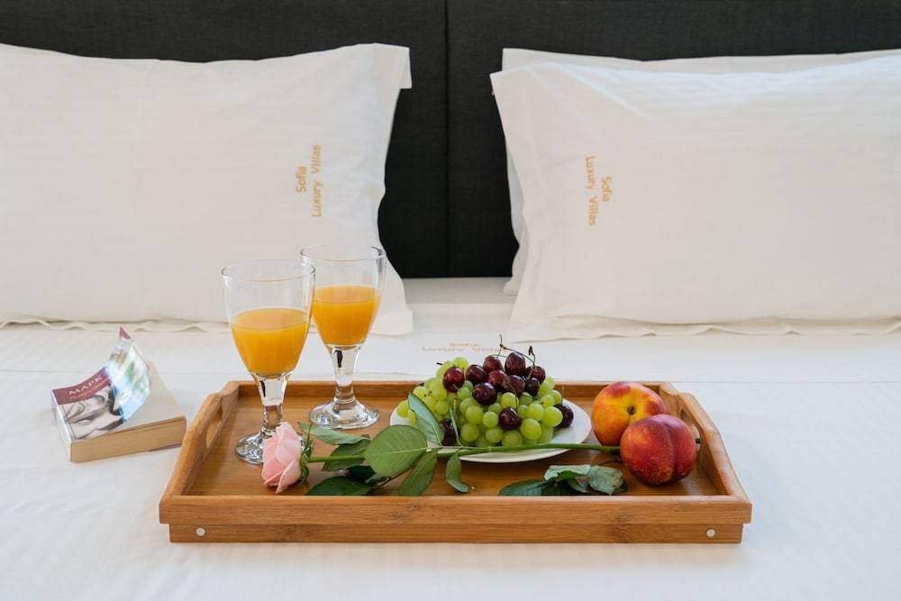 Sofia Luxury Villas 2