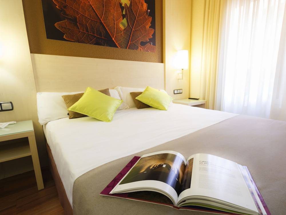 Hotel Condes de Haro 1