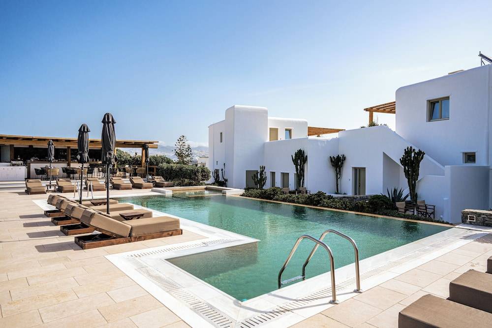Mykonos Cactus 1