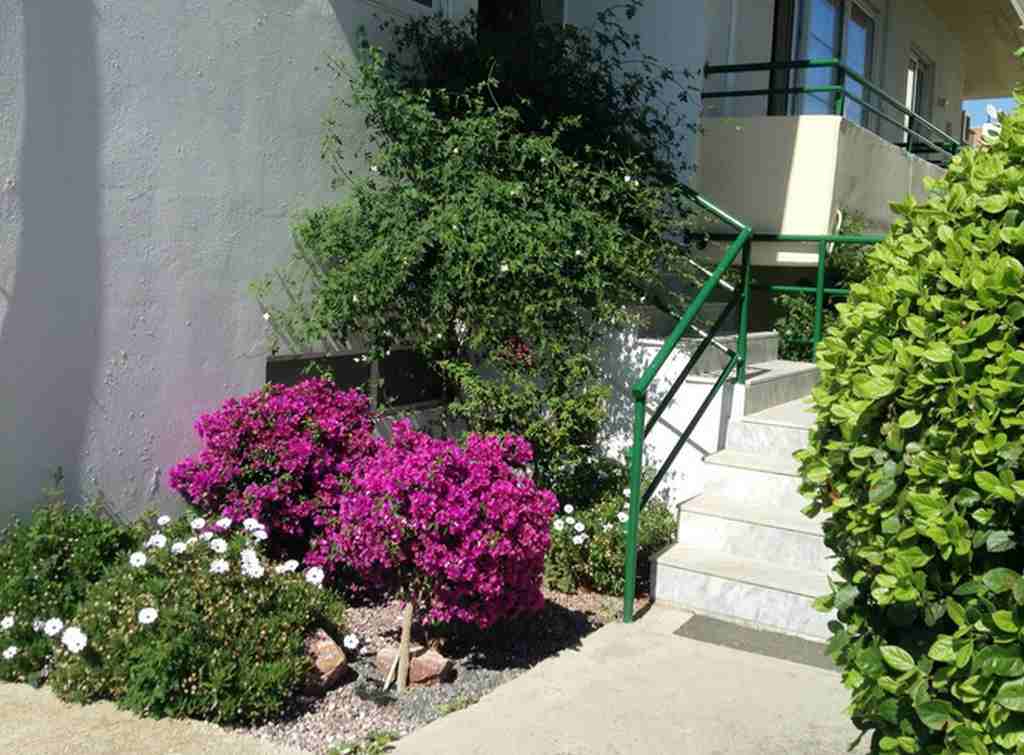APARTHOTEL ANITA 1