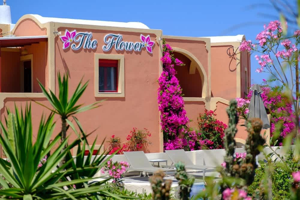 Pension The Flower 1
