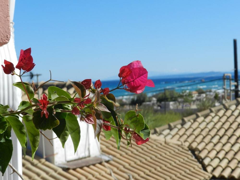 Infinity blue beach apartments - Renovated Apartments 2 Minutes from the Sea & Pool with Scenic Views 1