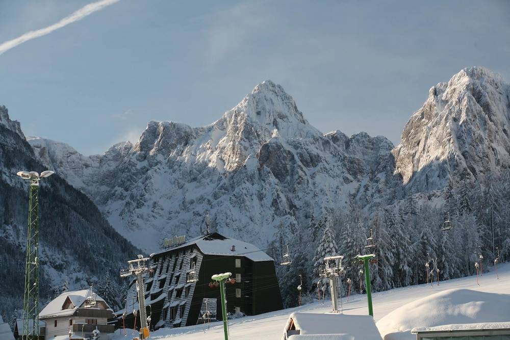 Hotel Alpina 1