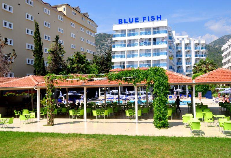 Blue Fish 1