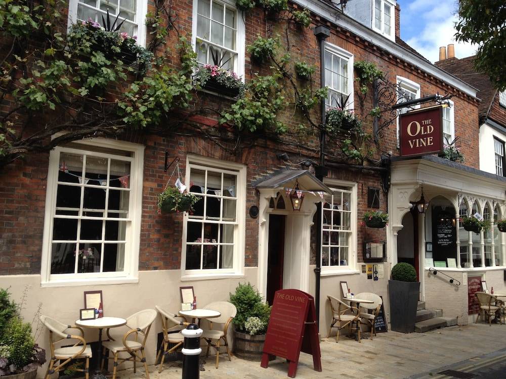 The Old Vine 1