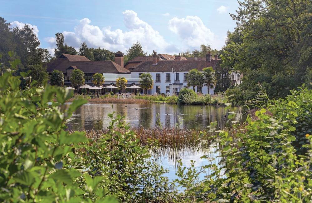 Frensham Pond Country House Hotel & Spa 1