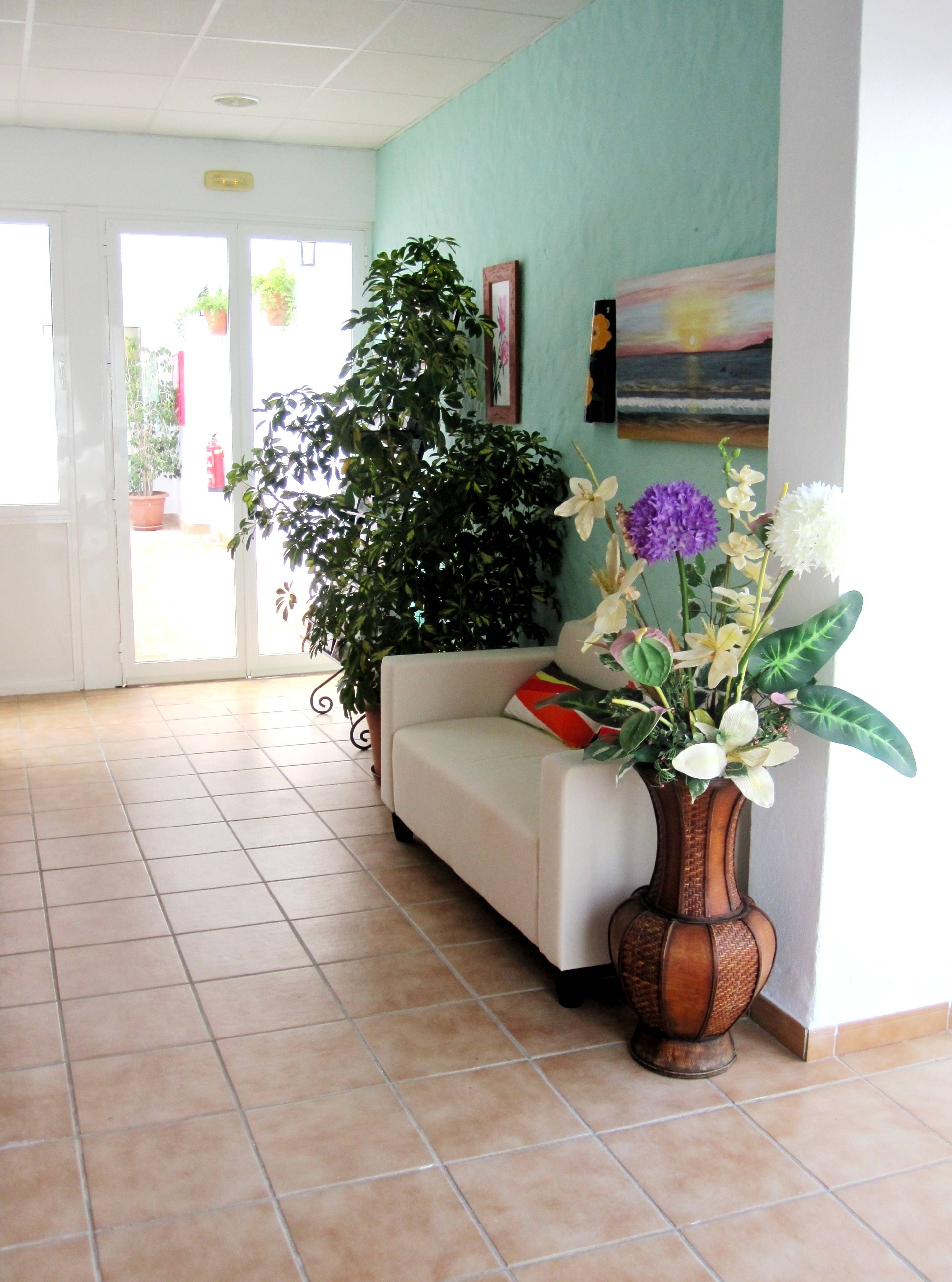 Hotel Oasis Atalaya 2