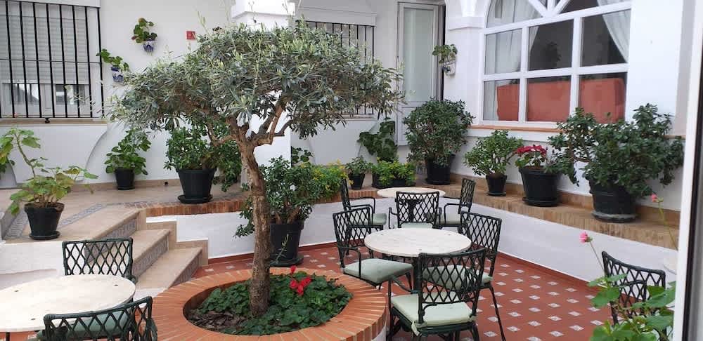 Hotel Los Olivos 1