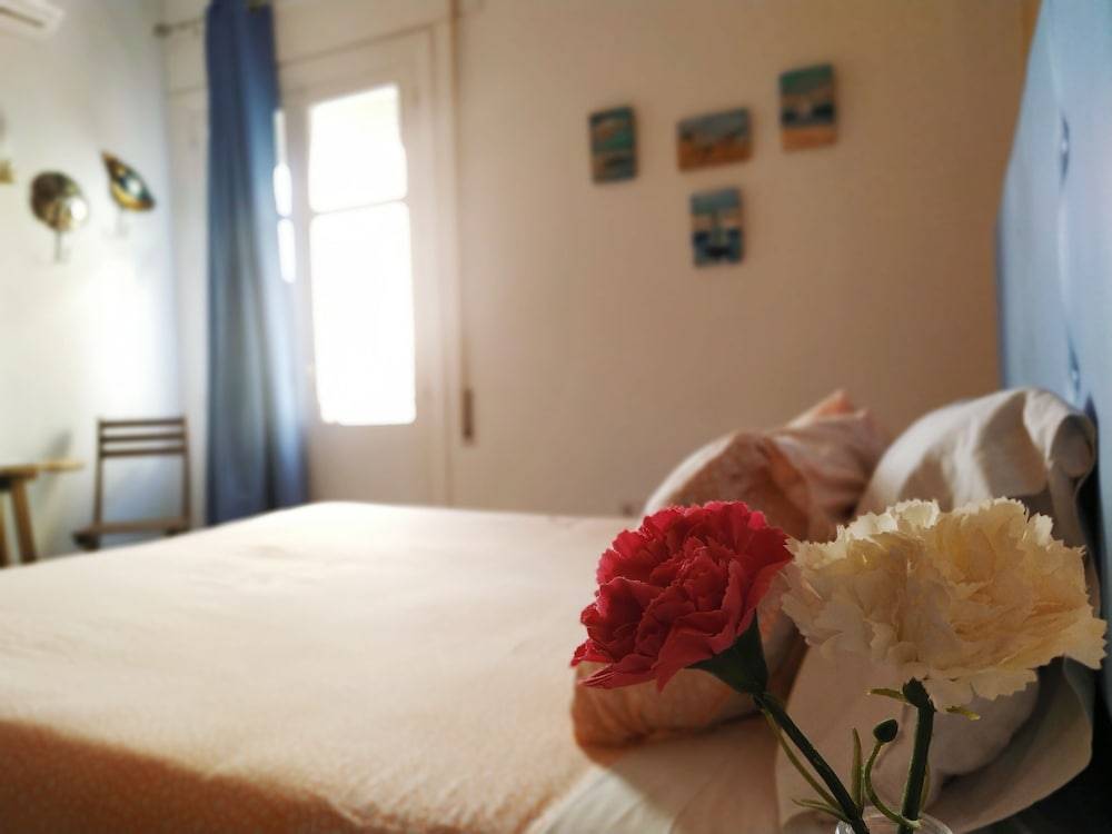 Hostal Casa Nautilus 1