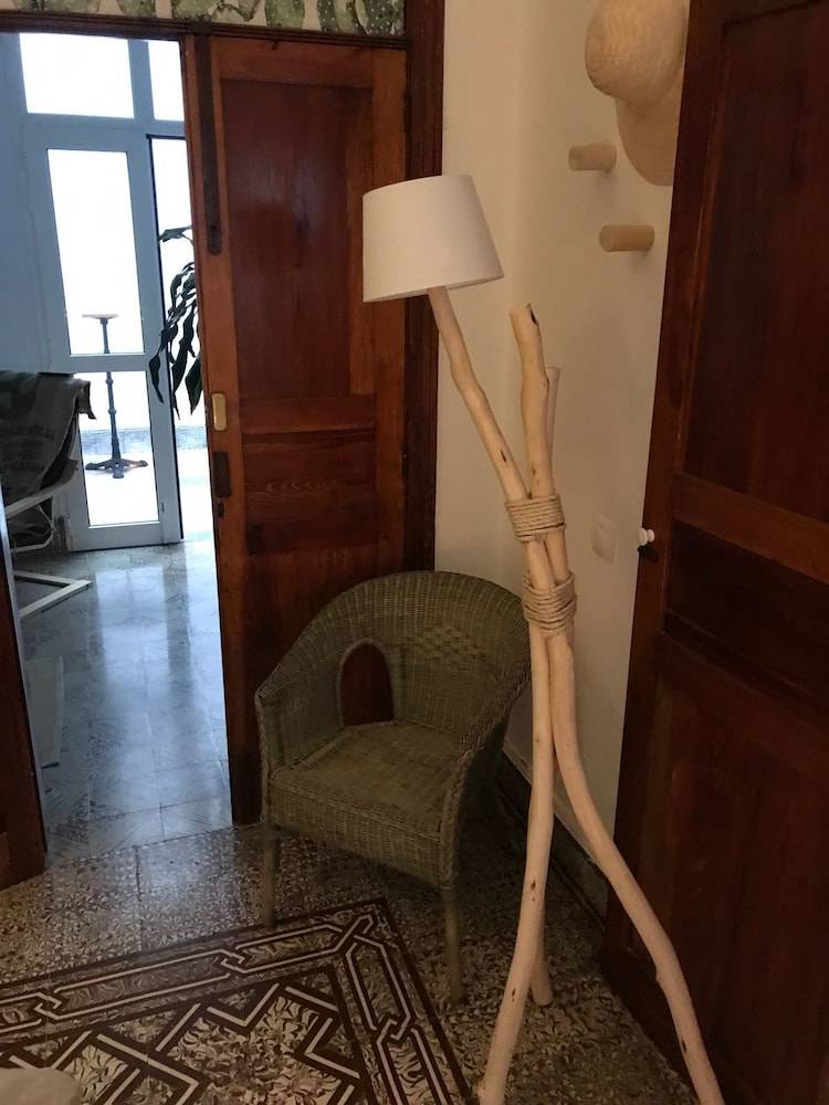 Cactus Host 2