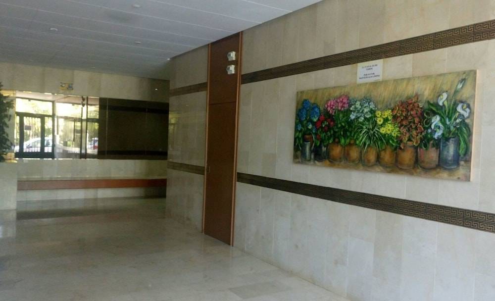 Estudio Ally 2