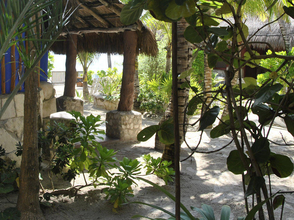 HOTEL CALALUNA TULUM - ADULTS ONLY 2