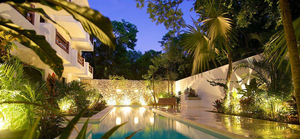 Live Tulum 2