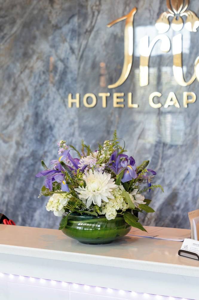 Iris Hotel Cape Cod 1