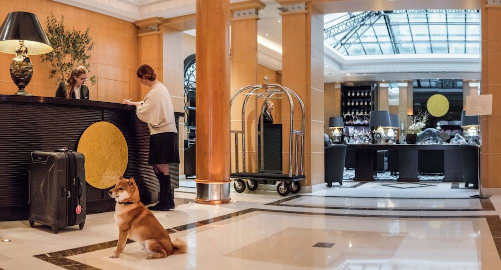 Hyatt Paris Madeleine 2