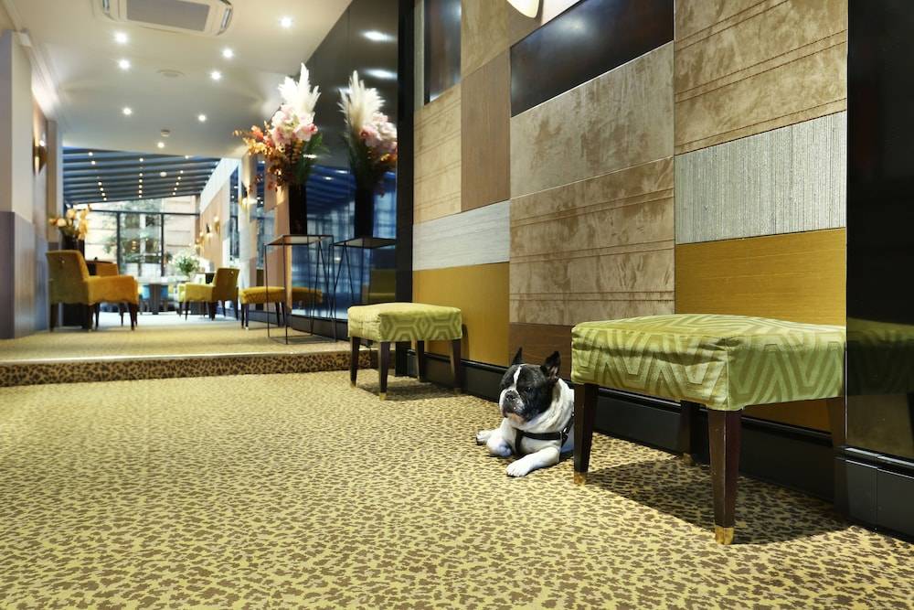 Hotel Concortel Paris 1