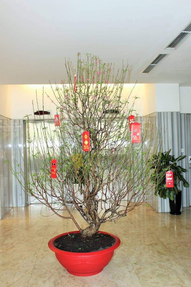 Liberty Hotel Saigon Greenview 1