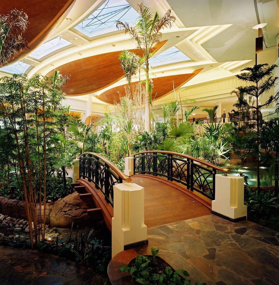 Grand Hyatt Dubai Resort & Waterpark 2
