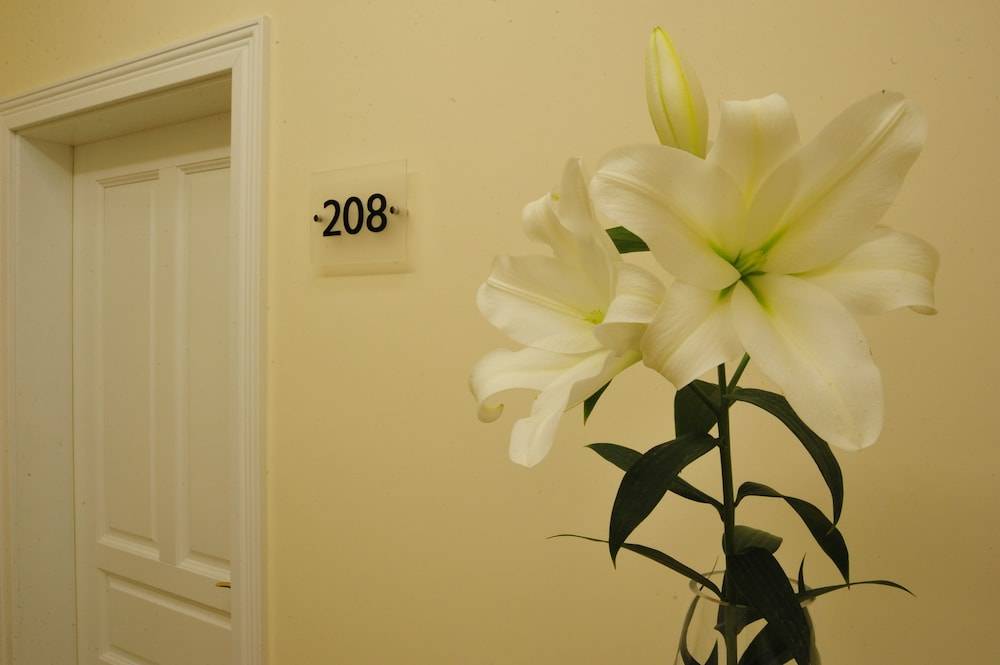 Kosmopolita Rooms 2