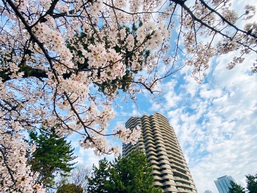Tokyo Marriott Hotel 1