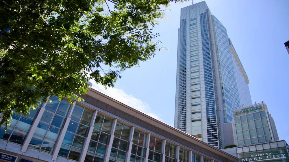 Shibuya Excel Hotel Tokyu 1
