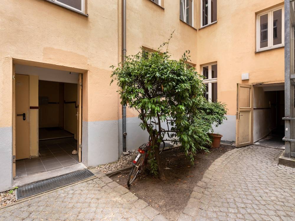 Numa Berlin Kater 2