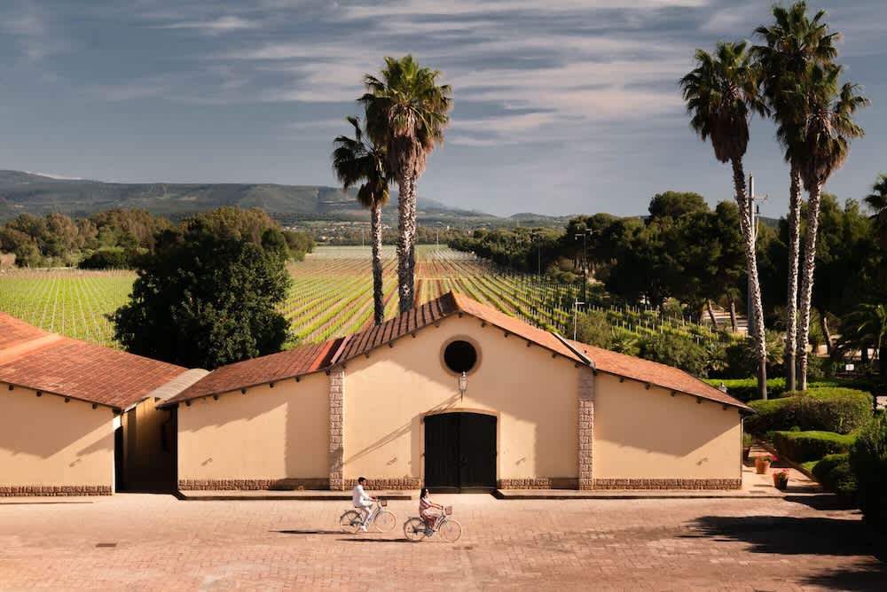 Sella&Mosca Casa Villamarina 1