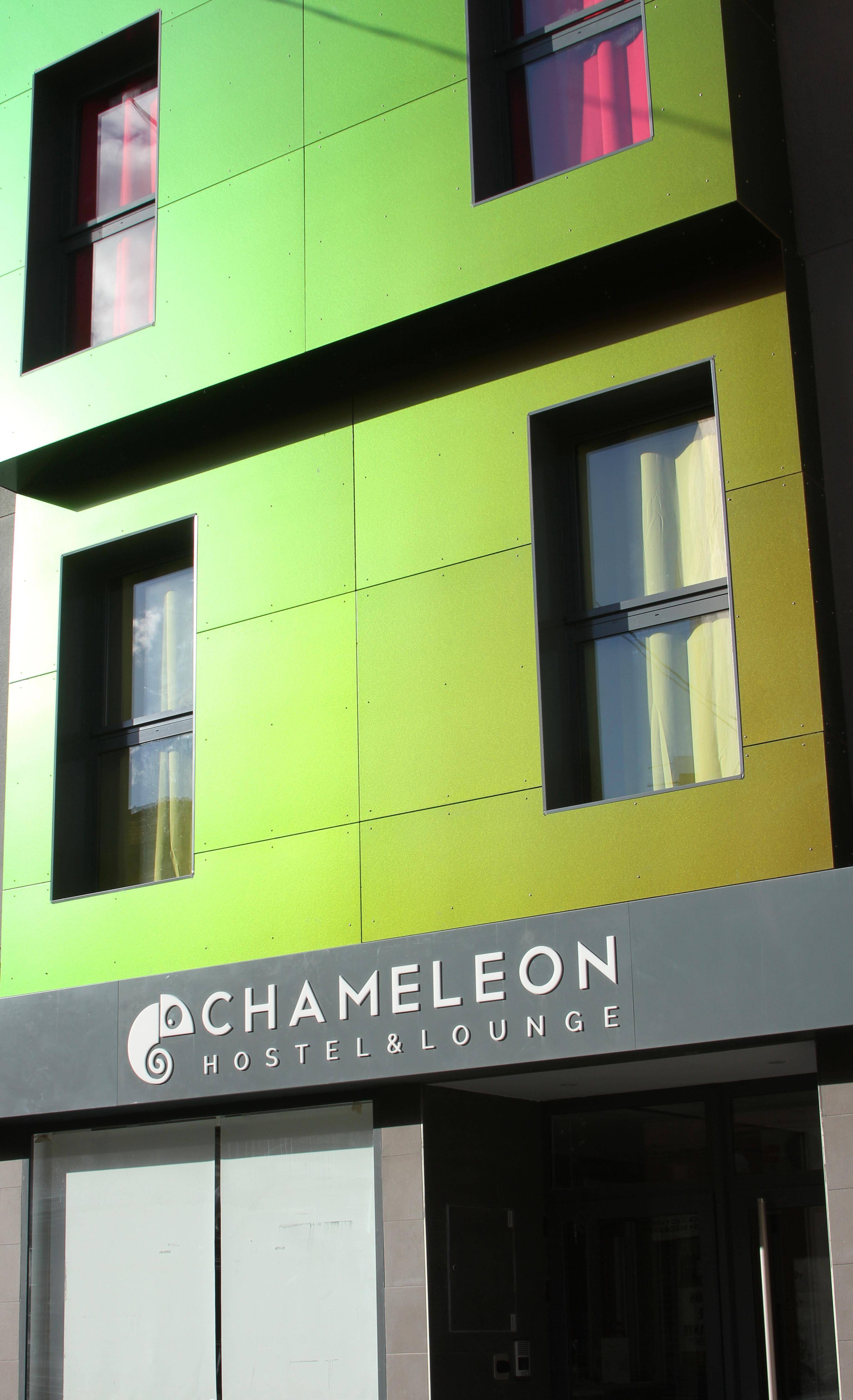 Chameleon Hostel Alicante 1