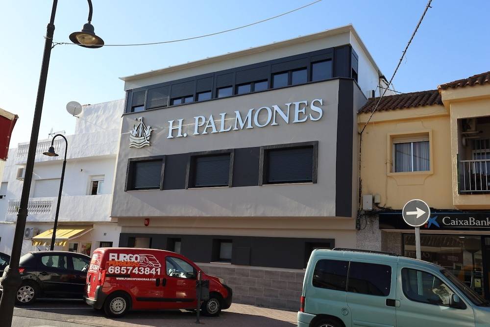 H.PALMONES 1