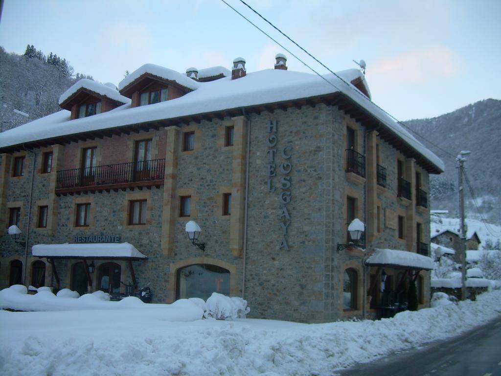 Hotel Cosgaya 2