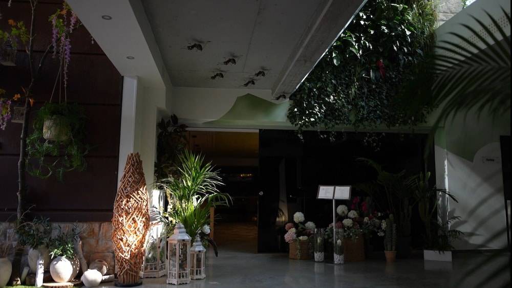 Hotel Cuevas - Adults Only 2