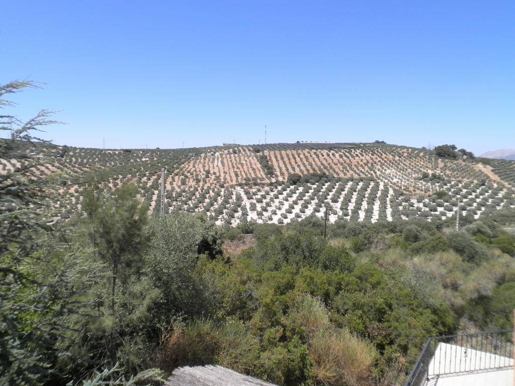 Hotel Sierra de Araceli 2